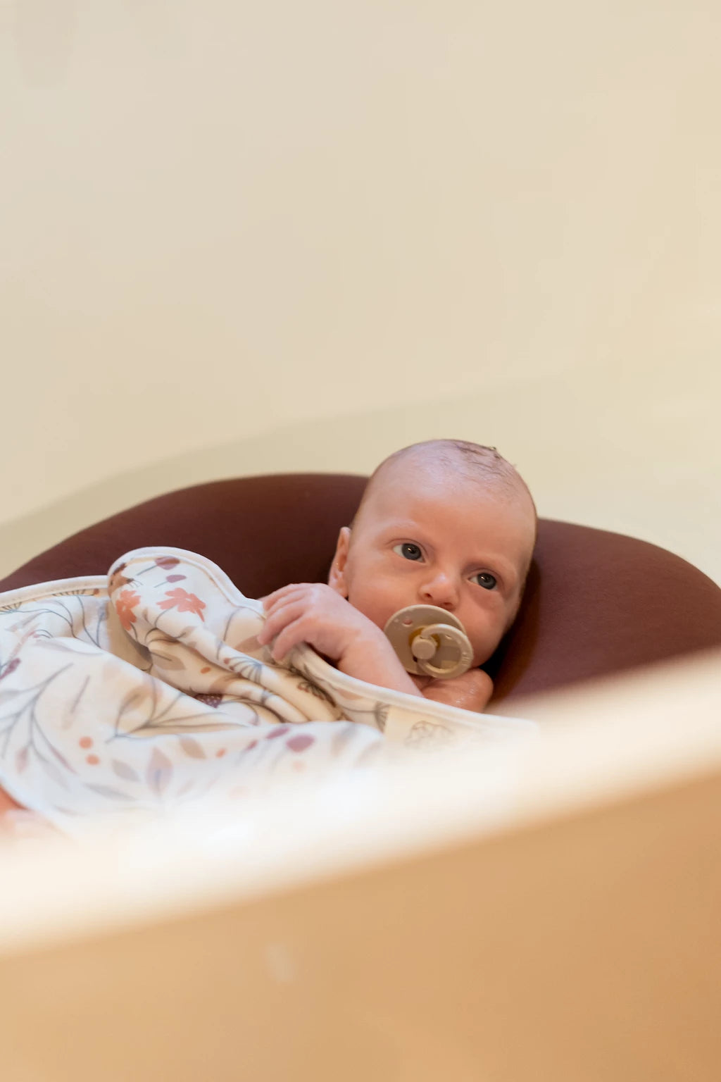 BIBS Pacifiers & Accessories