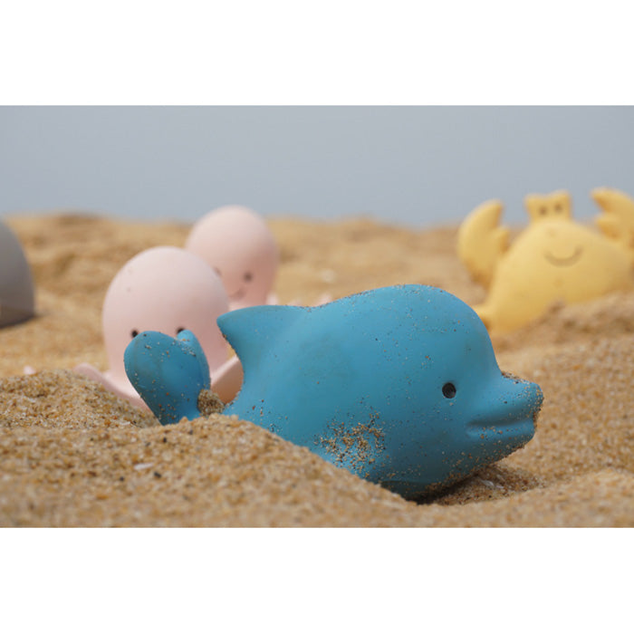 Little Bear Bath Toy Dolphin
