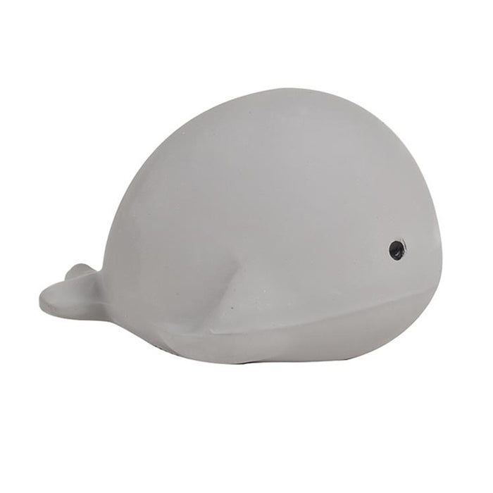 Little Bear Tikiri Bath Toy Whale
