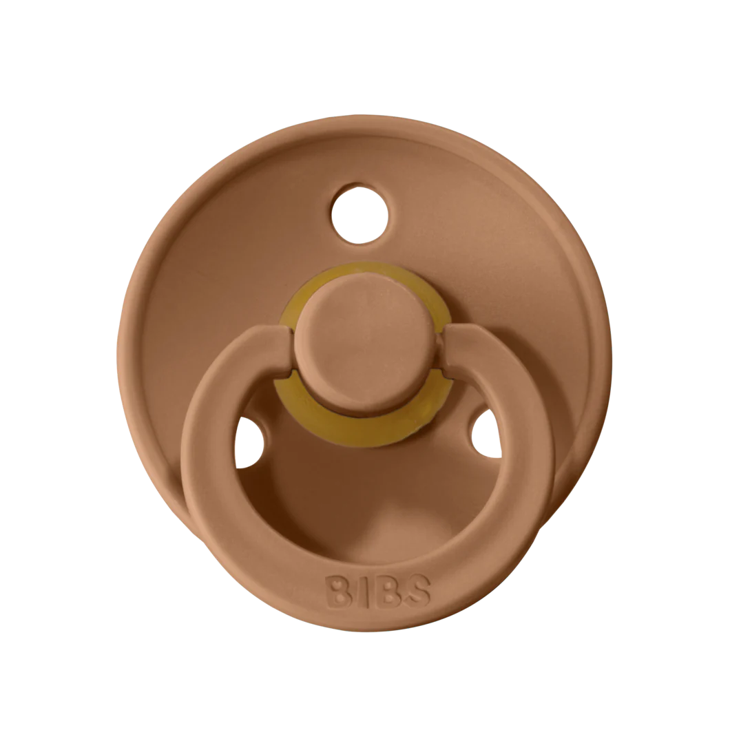 BIBS Earth Pacifier