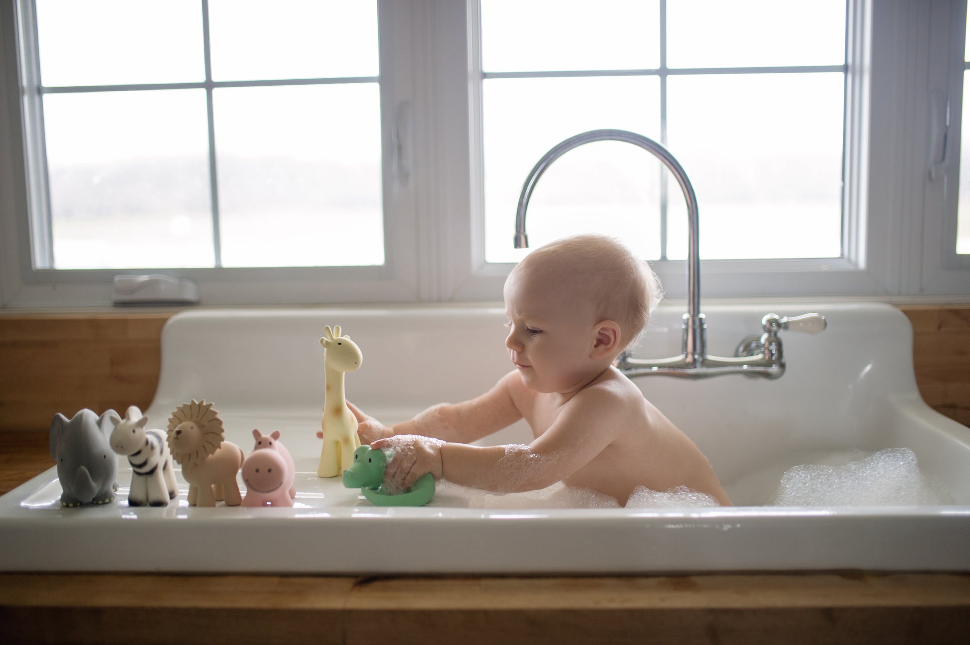 Little Bear Bath Time Fun