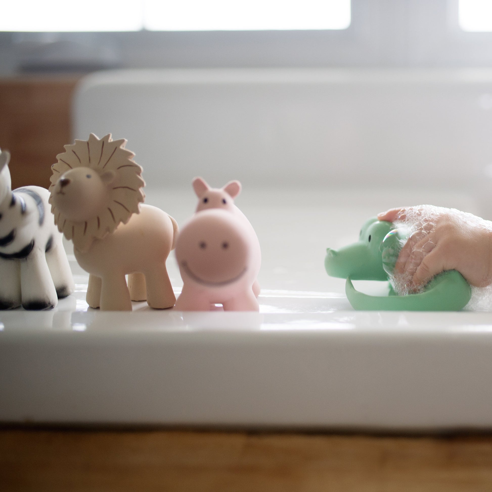 Little Bear Safari Bath Toys
